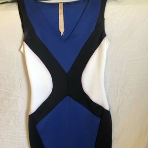 Bailey 44 color block dress
